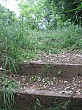 IMG_0366.jpg