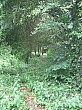 IMG_0367.jpg
