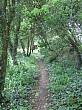 IMG_0373.jpg