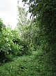 IMG_0387.jpg