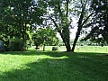 IMG_0219.jpg
