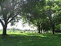 IMG_0255.jpg