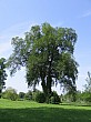 IMG_0263.jpg