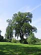 IMG_0264.jpg