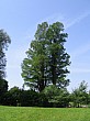 IMG_0268.jpg